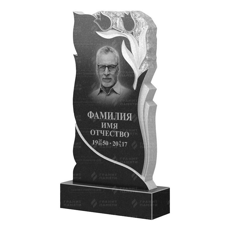 Гранитные памятники в Воронеже | Гранитный памятник ФГ-223