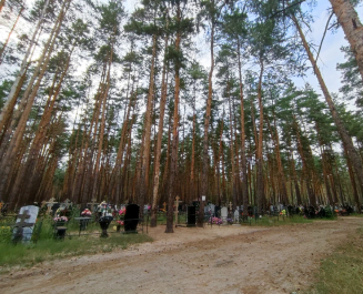 Боровское кладбище