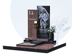 Памятники участникам СВО и боевых действий в Воронеже